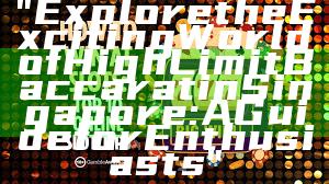 "Explore the Exciting World of High Limit Baccarat in Singapore: A Guide for Enthusiasts"